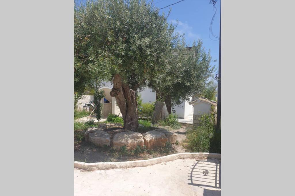 Grazioso Appartamento Di Fronte Al Mare Pozzallo Dış mekan fotoğraf