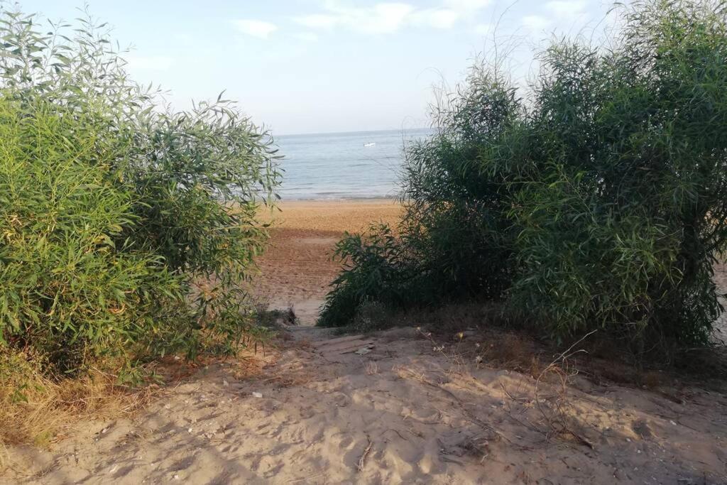 Grazioso Appartamento Di Fronte Al Mare Pozzallo Dış mekan fotoğraf